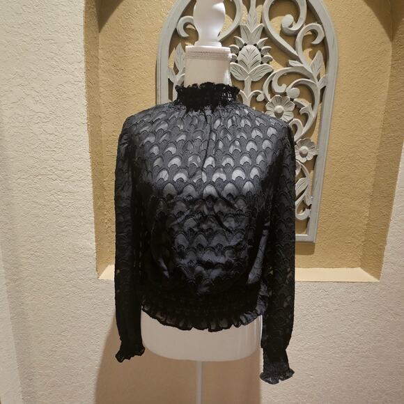 Blāshe L Gothic Dark Academia Lace Blouse Romantic Victorian Sheer Ruffle Top - Picture 3 of 14